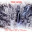 Tim Janis