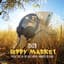 Gipsy Kings