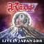 Riot V