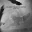 Lullabies for Falling Empires