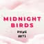 Midnight Birds