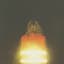 Scout Niblett