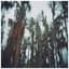 The Lulls in Traffic