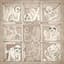 Dave Matthews Band