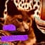 Catbreath?