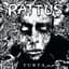 Rattus
