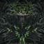 Annotations of an Autopsy