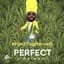 Perfect Giddimani