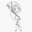 zack villere