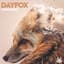 DayFox