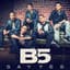 B5