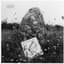Mount Kimbie