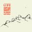 Nick Waterhouse