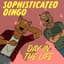 Sophisticated Dingo