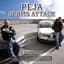 Peja/Slums Attack