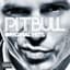 Pitbull Feat. Vybz Kartel