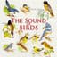 Nature Sounds