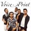 Voice.Print
