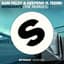 Sam Feldt