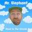 Mr. Elephant