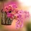 Judy Wolter