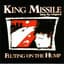 King Missile