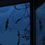 headless_DATA