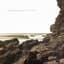 Polygon Window