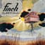 Finch