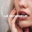 Le Voyageur