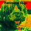 Hammund Degz