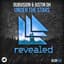 DubVision