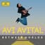 Avi Avital