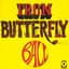 Iron Butterfly