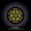 Hypnagog