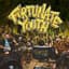 Fortunate Youth