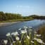 The River Sings