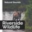 Riverside