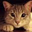 Humphrey Grace