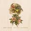 Ana Egge