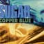 Sugar