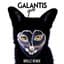 Galantis
