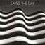 Saves the Day