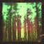 Fossil Collective
