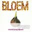 Bloem