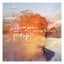 Friendly Fires