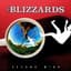 The Blizzards