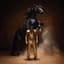 Orville Peck