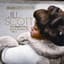 Jill Scott