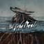 The Color Morale